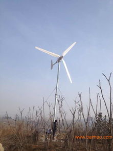 專業生產20kw中小型風力發電機組 技術與性價比的完美結合